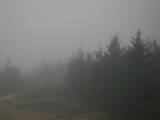19 : 22