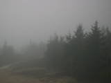 19 : 24