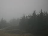 19 : 26