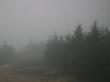 19 : 28