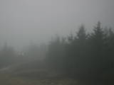 19 : 34