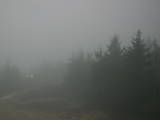 19 : 36