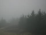 19 : 38
