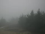 19 : 40