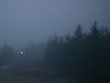 20 : 16