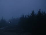 20 : 24