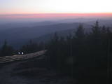 20 : 40