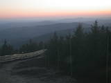 20 : 20
