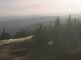 19 : 14