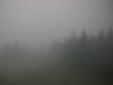 06 : 04