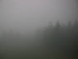 06 : 08