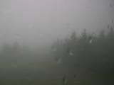 09 : 46