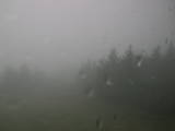 09 : 48