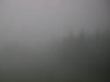 12 : 12