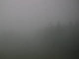 12 : 20