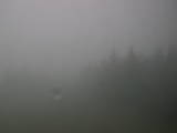 12 : 32