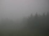 13 : 08