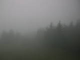 14 : 08