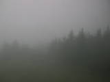14 : 12