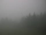 14 : 28
