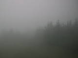 14 : 32