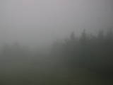 14 : 36