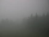 14 : 40