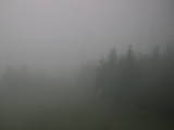 14 : 48