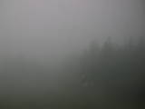 14 : 56