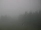 15 : 00