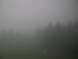 15 : 04