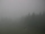 15 : 08