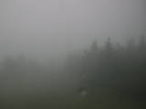 15 : 12