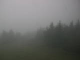 15 : 16