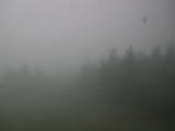 15 : 36