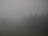 15 : 44
