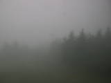 16 : 04