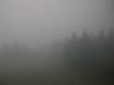 16 : 12