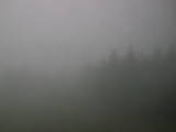 16 : 20