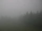 16 : 24