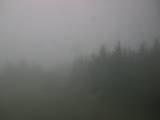 16 : 28