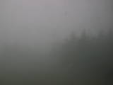 16 : 32