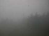 16 : 36