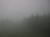 17 : 24