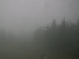 18 : 20