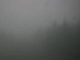 19 : 04