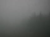 19 : 08