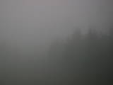 19 : 20