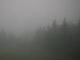 19 : 24