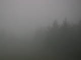 19 : 28